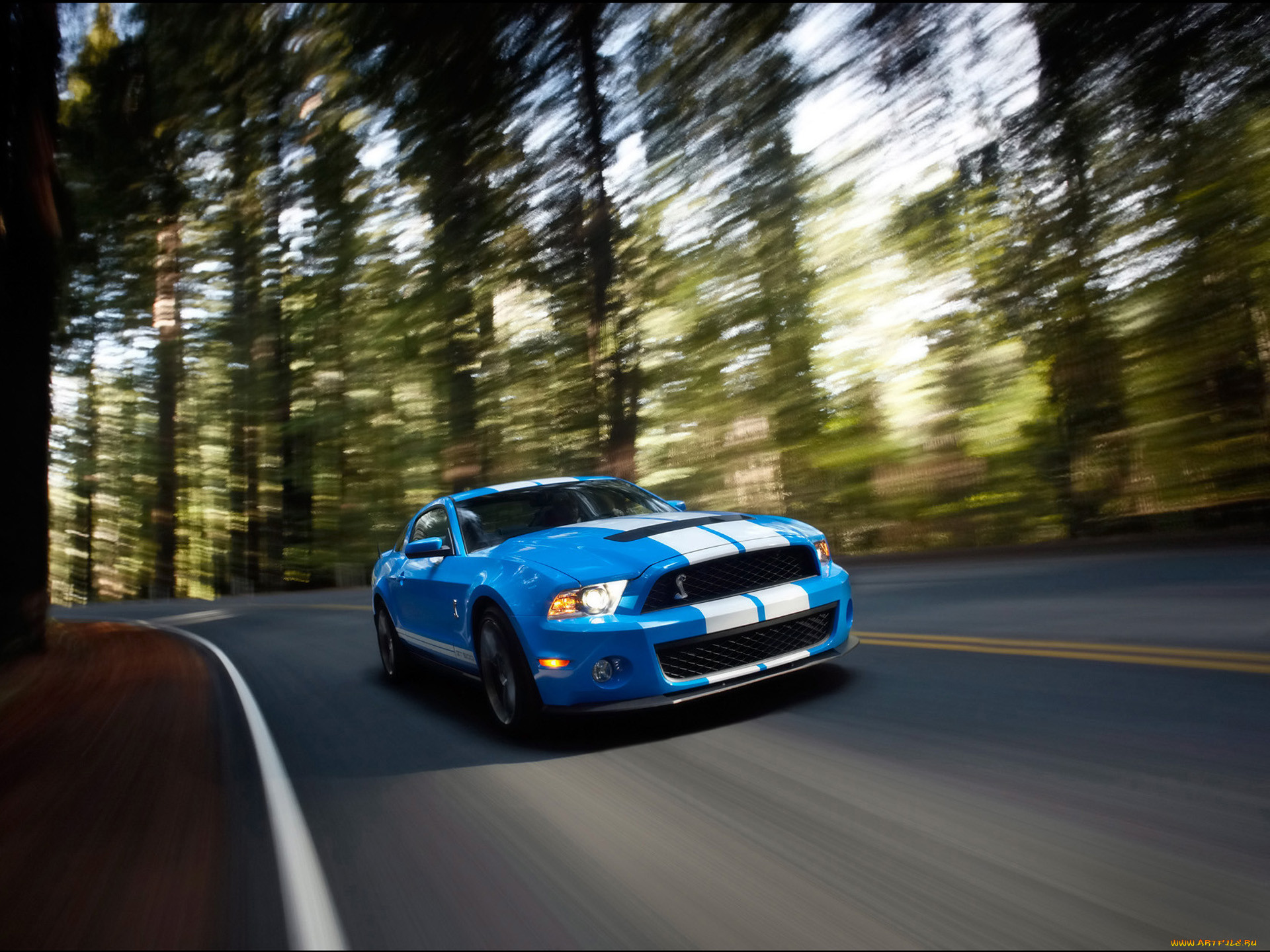 2010, ford, shelby, gt500, 